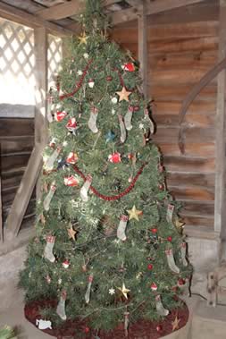 2010 Springhouse Tree