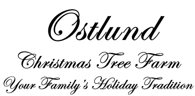 Ostlund Christmas Tree Farm