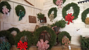 Boughs and Wreaths